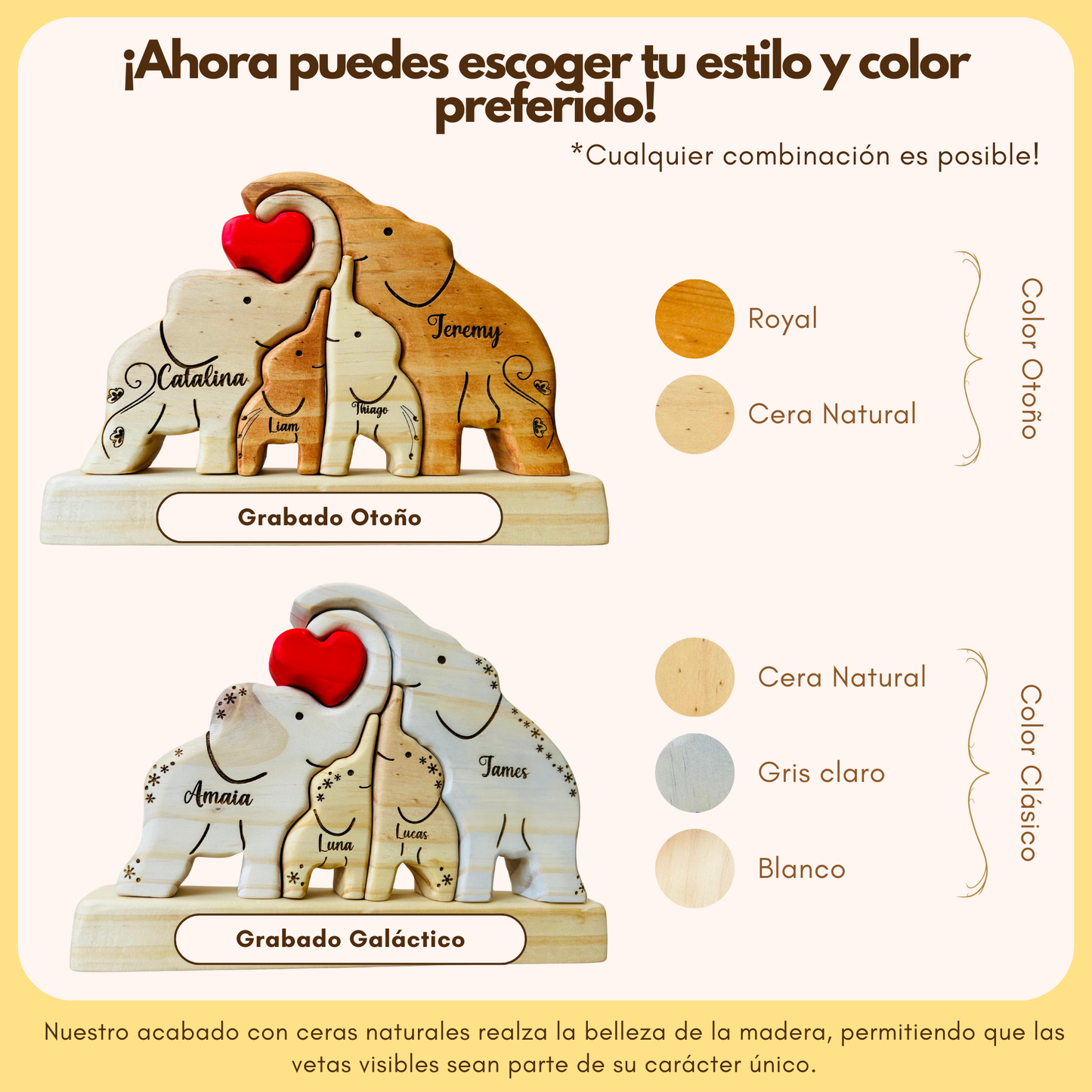 Familia de Elefantes