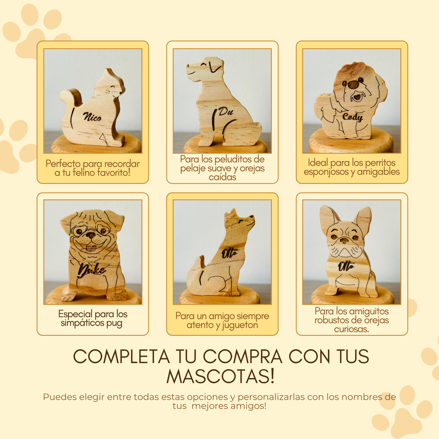 Familia Premium Leones